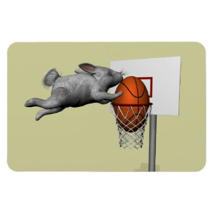 Easter Bunny's Perfect Slam Dunk Magnet