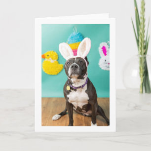 Easter card