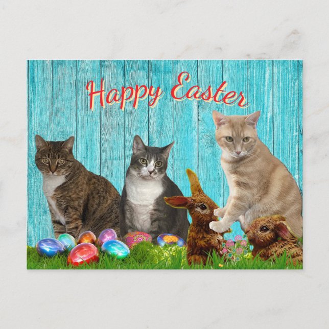 Easter Card - Cats and Bunnies (Front)