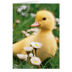 Easter Card - Cute Duckling