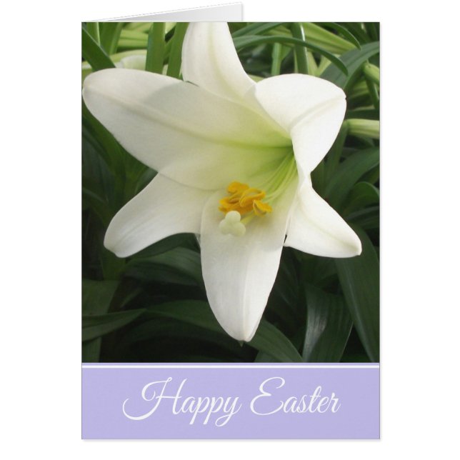 Easter Card Easter Lily (Front)