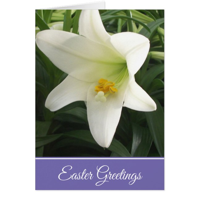 Easter Card Easter Lily (Front)