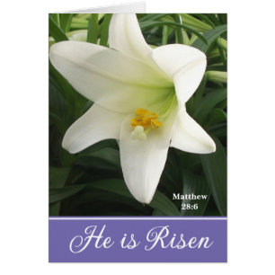 Easter Card Easter Lily