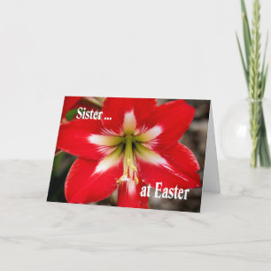 Easter Card for Sister with Red Lily