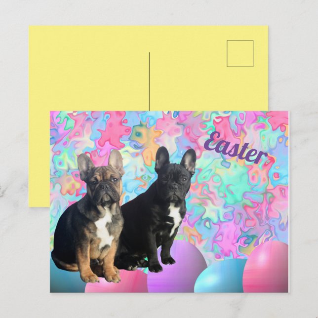 Easter card French Bulldog postcard (Front/Back)