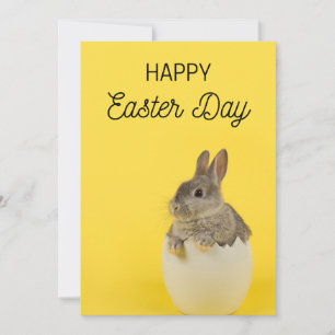 Easter Card pack - Easter Rabbit and Chick