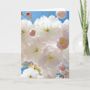Easter Cards Pink White Flower Tree Blossoms