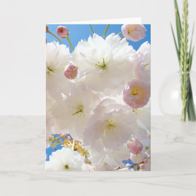 Easter Cards Pink White Flower Tree Blossoms (Front)