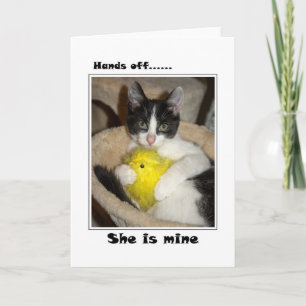 Easter Cat and chick Holiday Card
