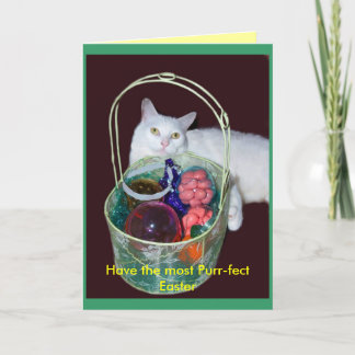 Easter Cat Card