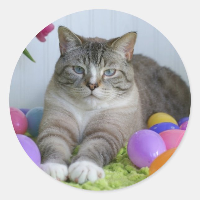 Easter Cat Classic Round Sticker (Front)