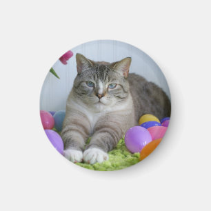 Easter Cat Classic Round Sticker Mason Jar Stone C Magnet