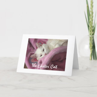 Easter Cat Holiday Card