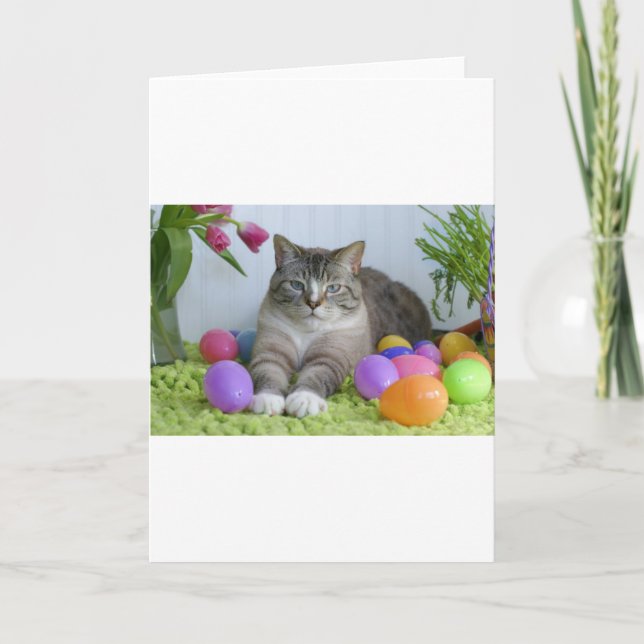 Easter Cat Holiday Card (Front)