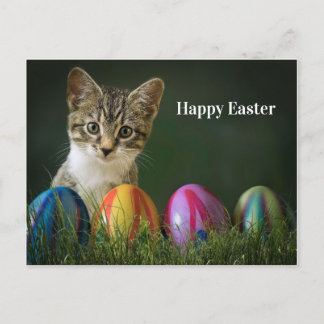 Easter cat holiday postcard