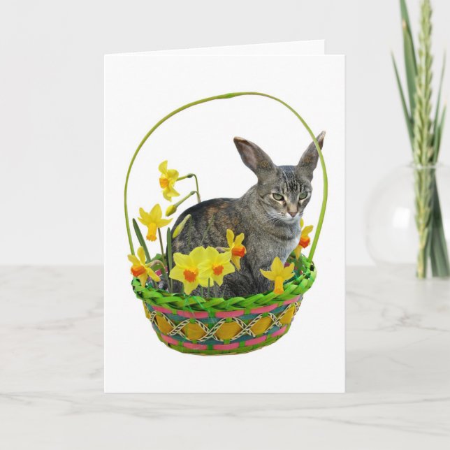 Easter Cat in Daffodils Card (Front)