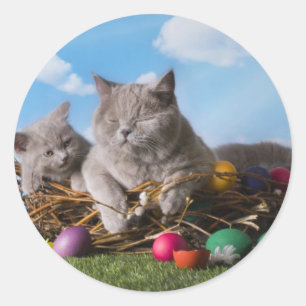 Easter Cats Classic Round Sticker