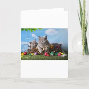 Easter Cats Holiday Card