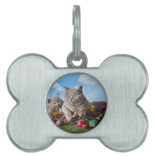 Easter Cats Pet ID Tag