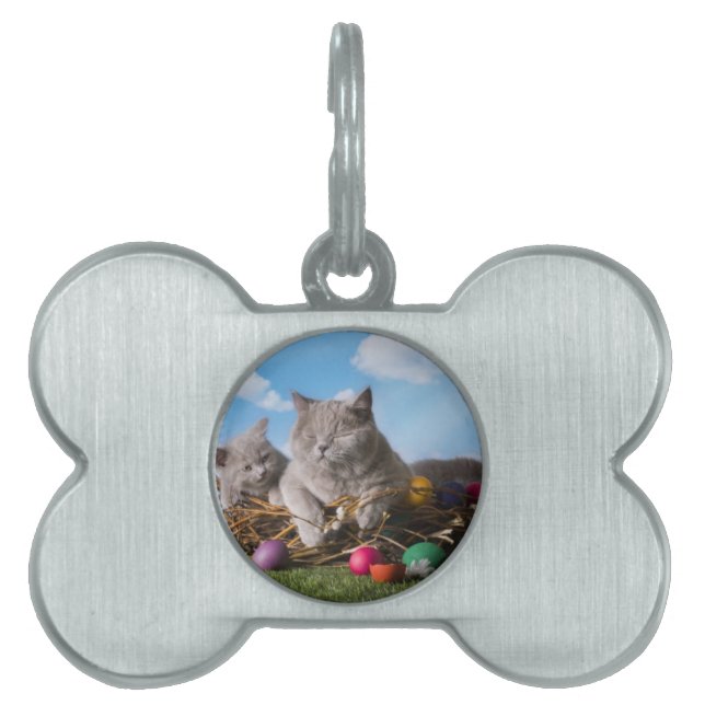 Easter Cats Pet ID Tag (Front)