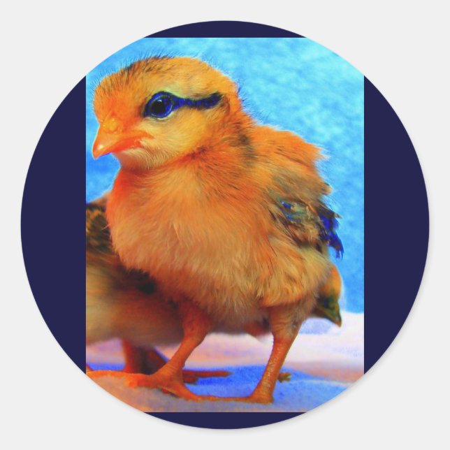 Easter Chick-A-Dee-Light Classic Round Sticker (Front)