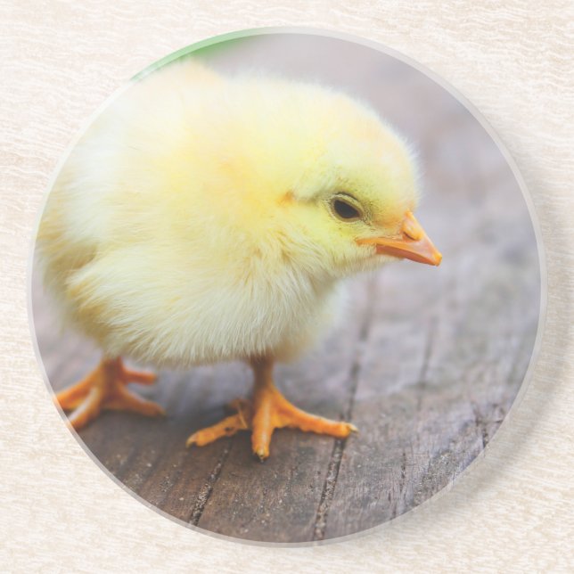 Easter Chick Coaster (Front)