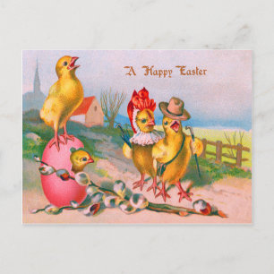 Easter Chick Coloured Egg Cotton Holiday Postcard