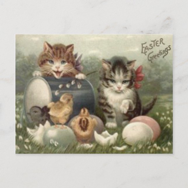 Easter Chick Coloured Egg Kitten Cat Holiday Postcard (Front)