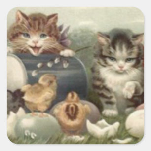Easter Chick Coloured Egg Kitten Cat Square Sticker