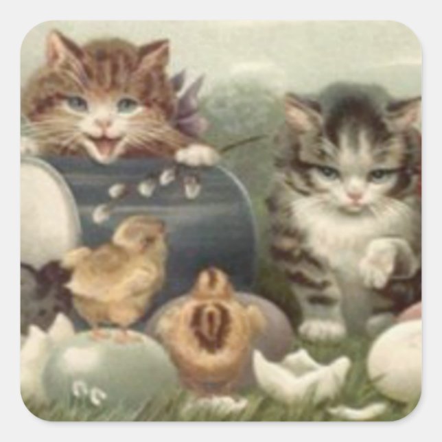 Easter Chick Coloured Egg Kitten Cat Square Sticker (Front)