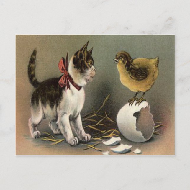 Easter Chick Egg Cat Kitten Holiday Postcard (Front)