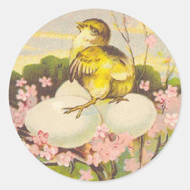 Easter - Chick & Eggs Up a Tree - Antique Postcard Classic Round Sticker (Front)