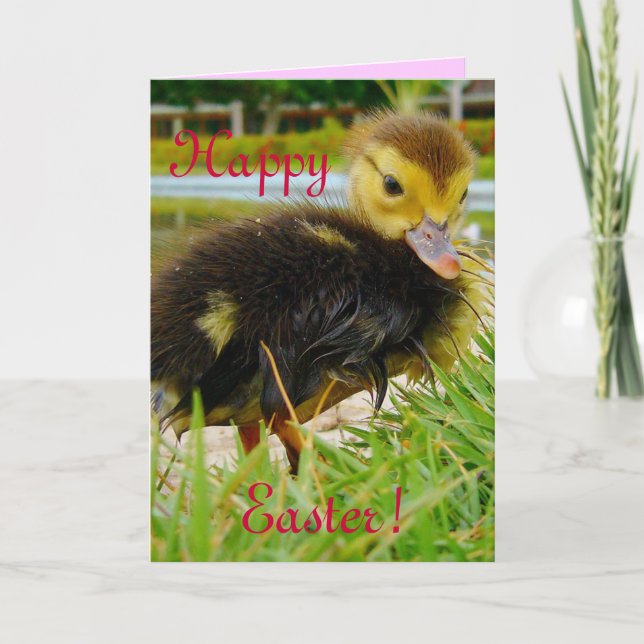 Easter Chick I Holiday Card (Front)