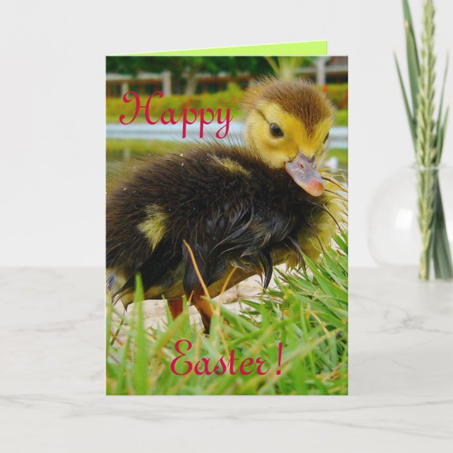 Easter Chick II Holiday Card (Front)