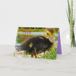Easter Chick III Holiday Card