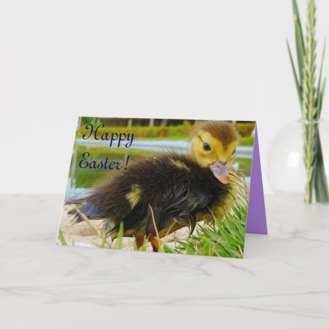 Easter Chick III Holiday Card (Front)