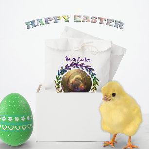 Easter Chick In An Egg Basket Personalised Favour Bags