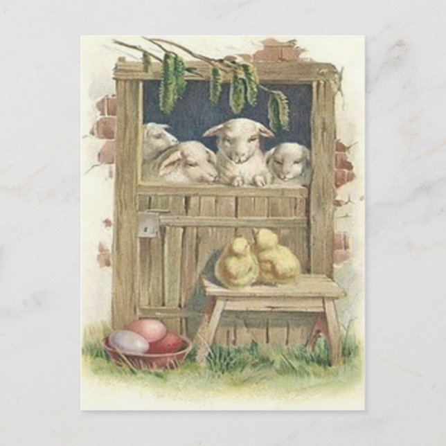 Easter Chick Lamb Barn Coloured Painted Egg Holiday Postcard (Front)