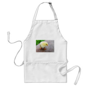 Easter Chick Standard Apron