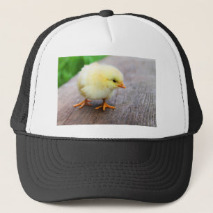 Easter Chick Trucker Hat