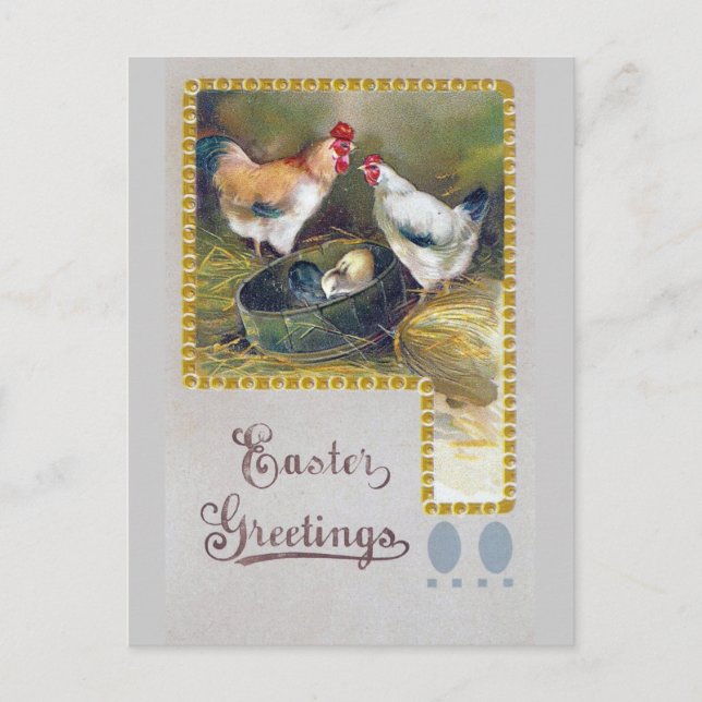 Easter Chicken Family Holiday Postcard (Front)