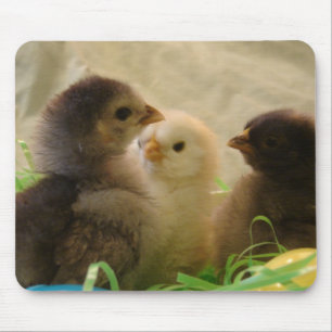 Easter Chickens Mouse Mat