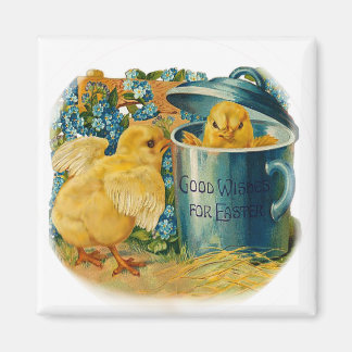 Easter chicks at play magnet