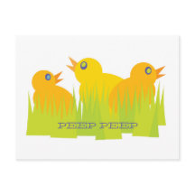 Easter Chicks Postcard