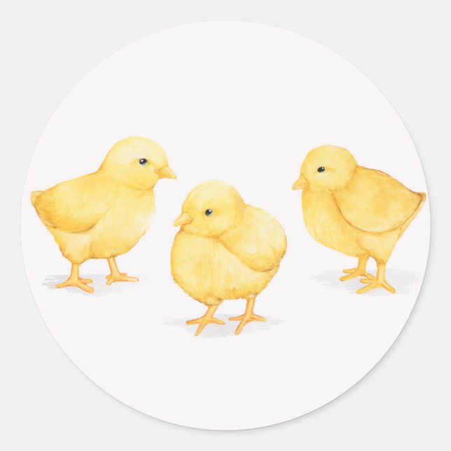 EASTER CHICKS ROUND CLASSIC STICKERS (Front)