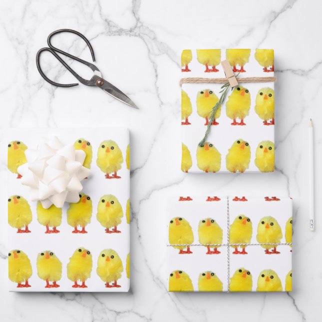 Easter Chicks Wrapping Paper Sheet (Front)