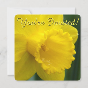 Easter Daffodil Invitations Easter Cards Customise