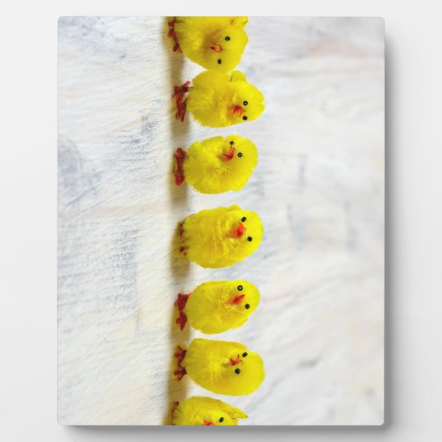 Easter Decoration - chicks in a row Plaque (Front)