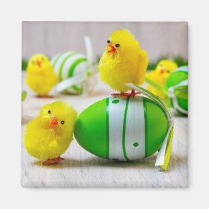 Easter Decoration - Easter egg and chicks Magnet