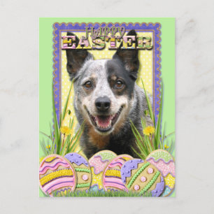 Easter Egg Cookies - Australian Cattle Dog Holiday Postcard